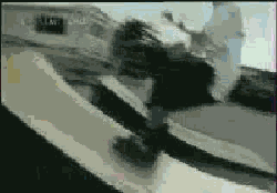 le pov